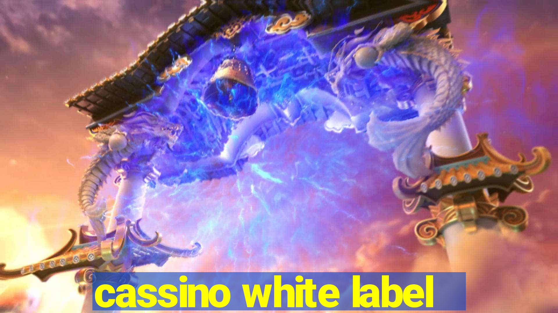 cassino white label